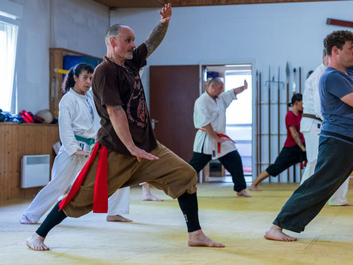 Quan Fa & Karate – Eine Symbiose aus den Tierstilen