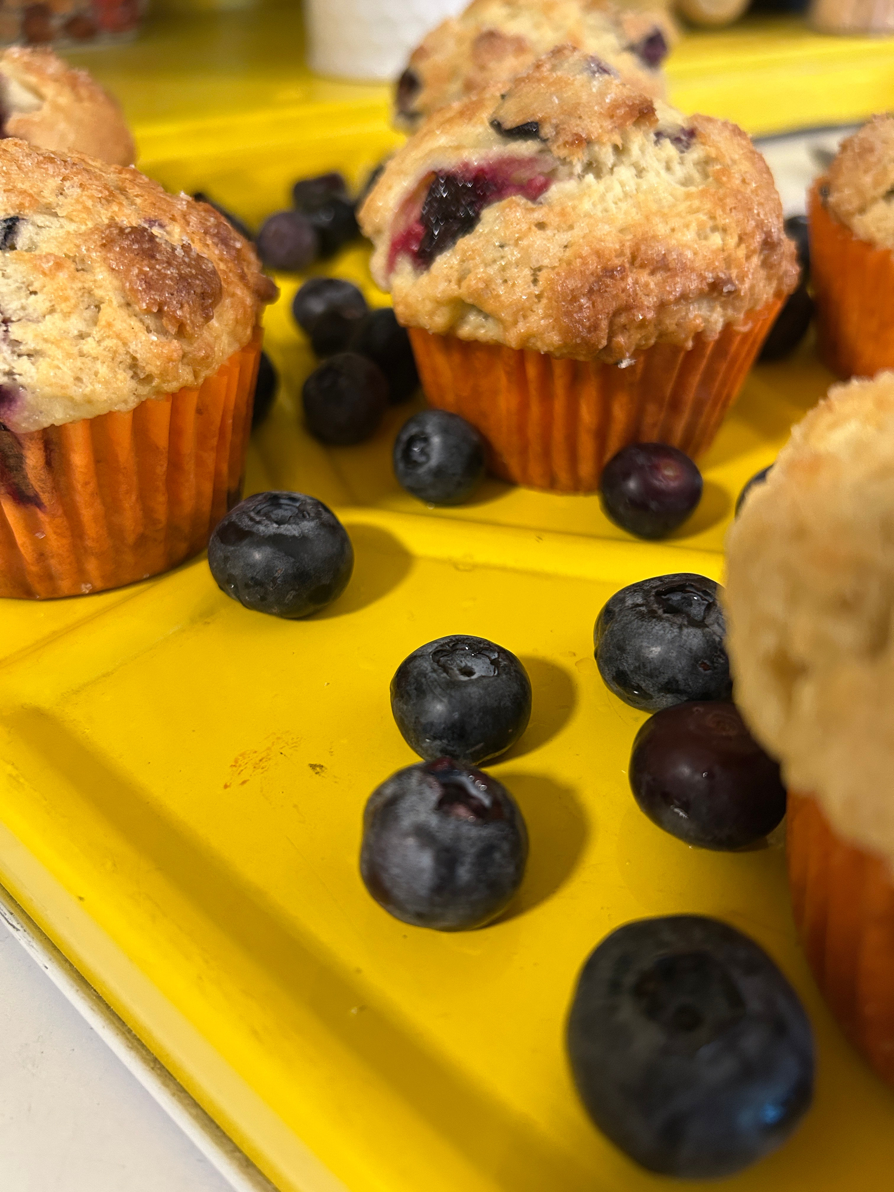 Blueberry Hill Muffins