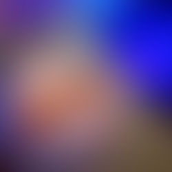 Sister Act - musical review