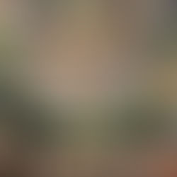 The Greatest Showman- film review