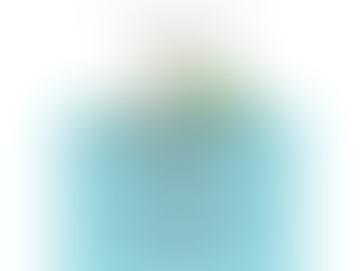 Greater Runaway Bay Alliance: Hwy 380 Trash Clean Up