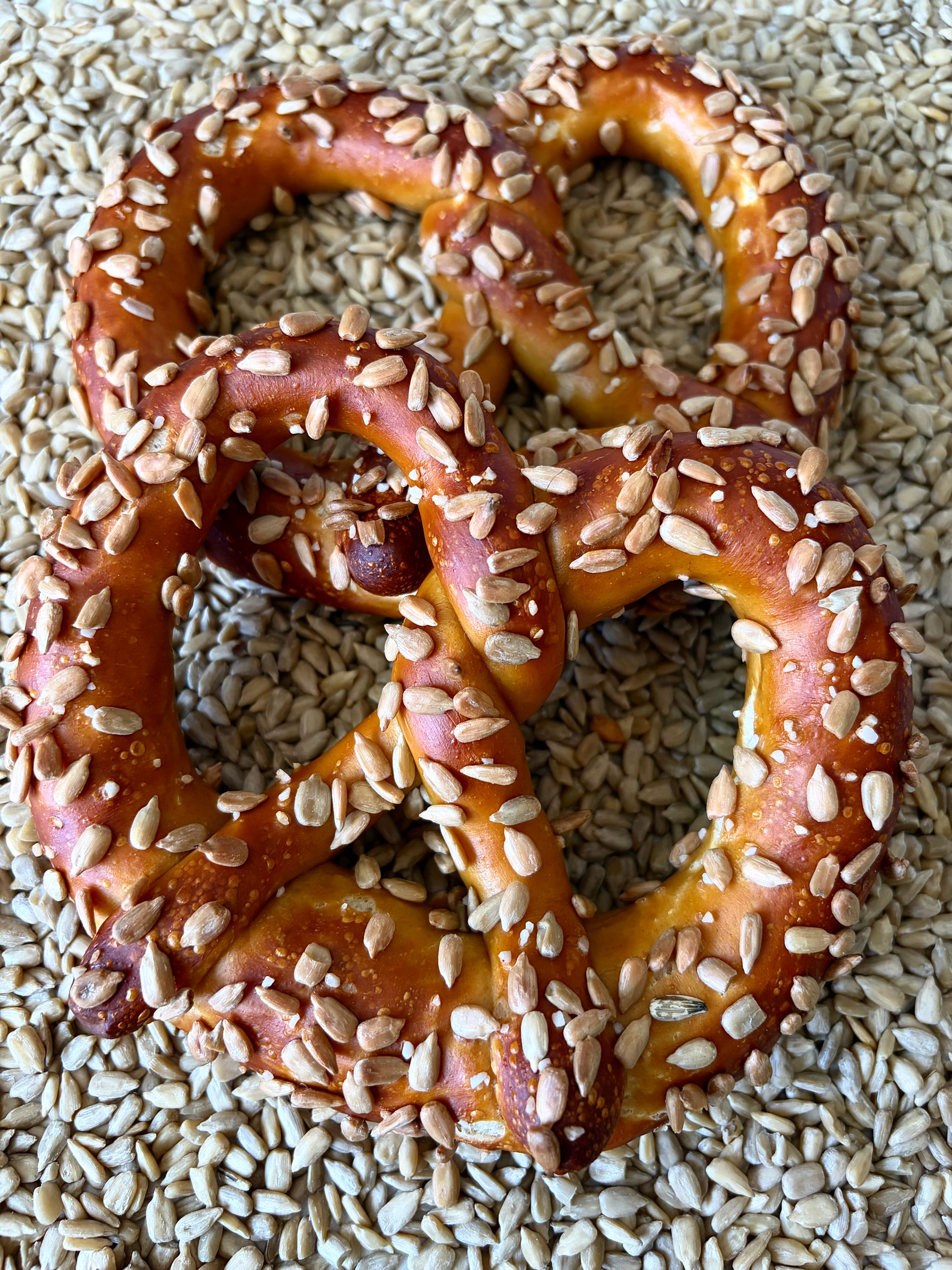 Sunflower Seed soft Pretzel