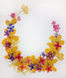 Flowers of the Month