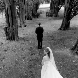 Male wedding celebrant