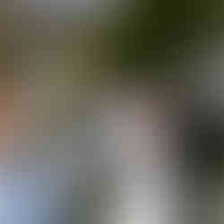 Best Wedding Celebrants melbourne