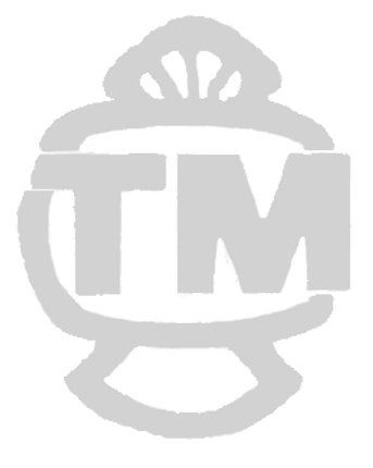 TMロゴ_edited_edited.png