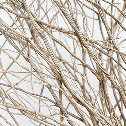 an abstract background of woven branches.jpg