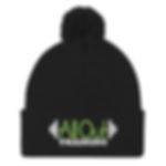 2025 AOT Cheering Squad Pom-Pom Beanie