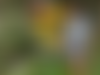 You can hike the Tour de Mt. Blanc, but where do you sleep?