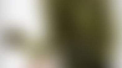 12 años de esclavitud - Solomon Northup