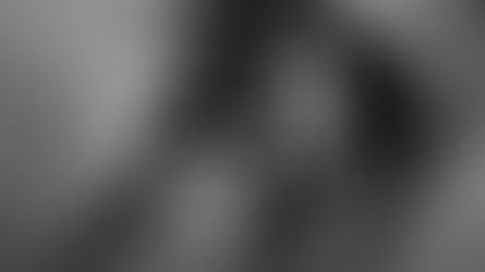 Saga Hush, Hush - Becca Fitzpatrick