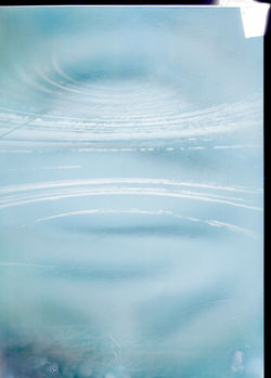 can-4winds-corner-hoiz-coloradjust-flipped.jpeg