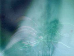 sol-rhoa-blow-bottom-adj-crop