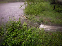 Pond Spillover Recommendation