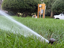 Irrigation Underway