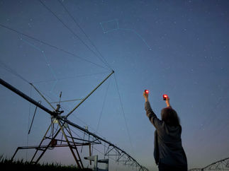 Night Along the Solar Fence Line