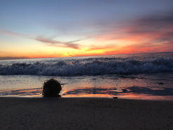 Natural Artifacts Tumbling Along Beach