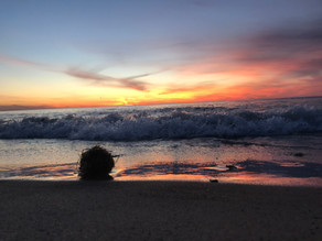 Natural Artifacts Tumbling Along Beach