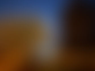 In Autumn Awaiting Nova
