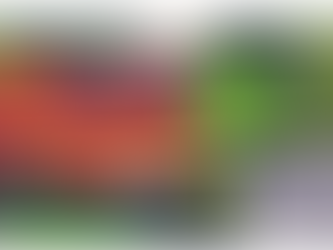 Four Steps to Going Solar 