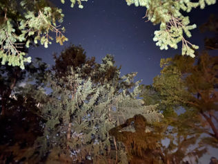 Corona Borealis Nightly