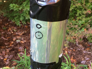 Experimenting With SunPrint Solargraphs