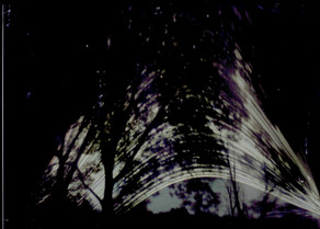 December Solstice Wetlands Solargraphs