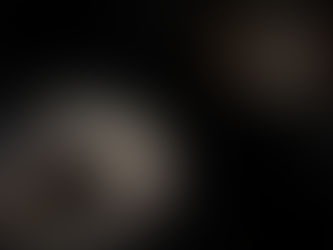 Learning From Gravitational Waves