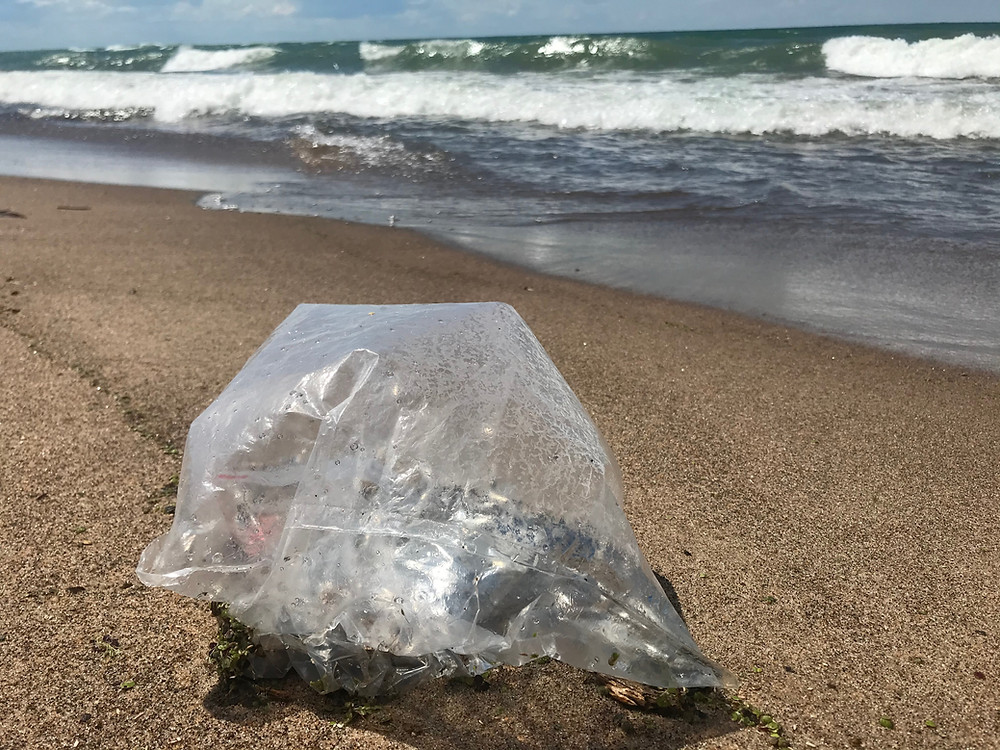Clear balloon on beach
