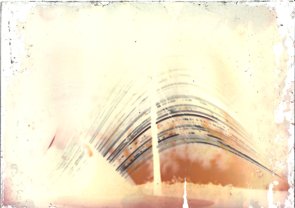 The original scan of the black and white photographic paper is in sepia colors.