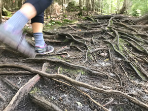 Closing In on Karl Quest: 50 States/50 Marathons