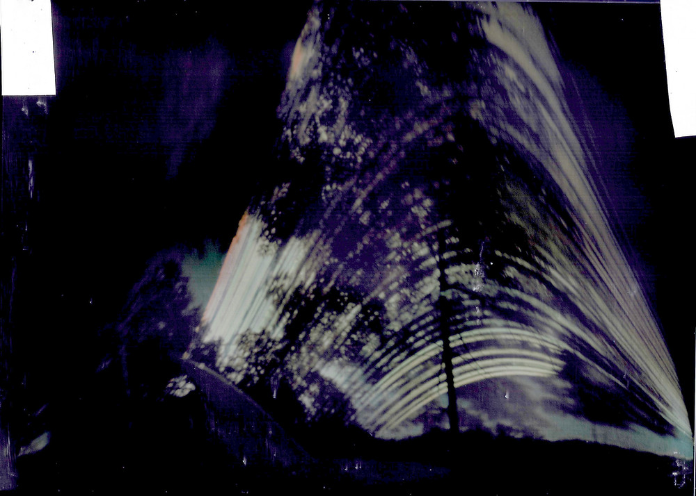 Solargraph result with leafy tree; sundial gnomon at bottom left of image..