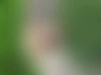 Make A Simple Compost Bin