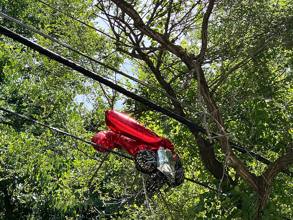Mylar balloons stuck in power lines