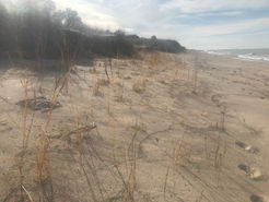 High Water on Lake Michigan
