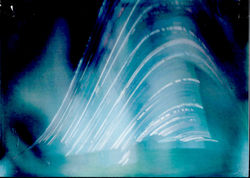sol-fiddlers-3 copy