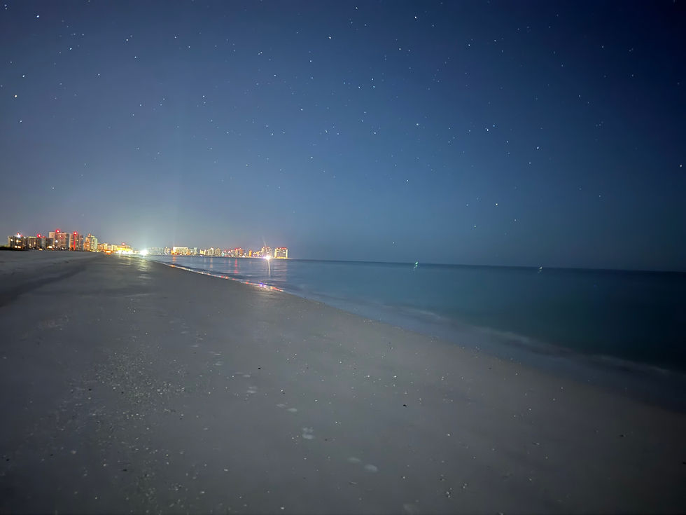 crux-marco lights_1342