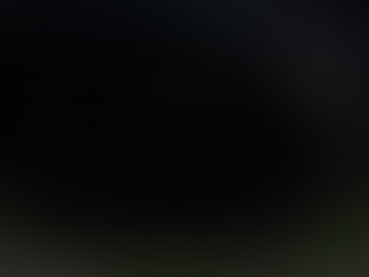 One Year Until Indiana's First Night