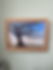Thumbnail: Winter Oak