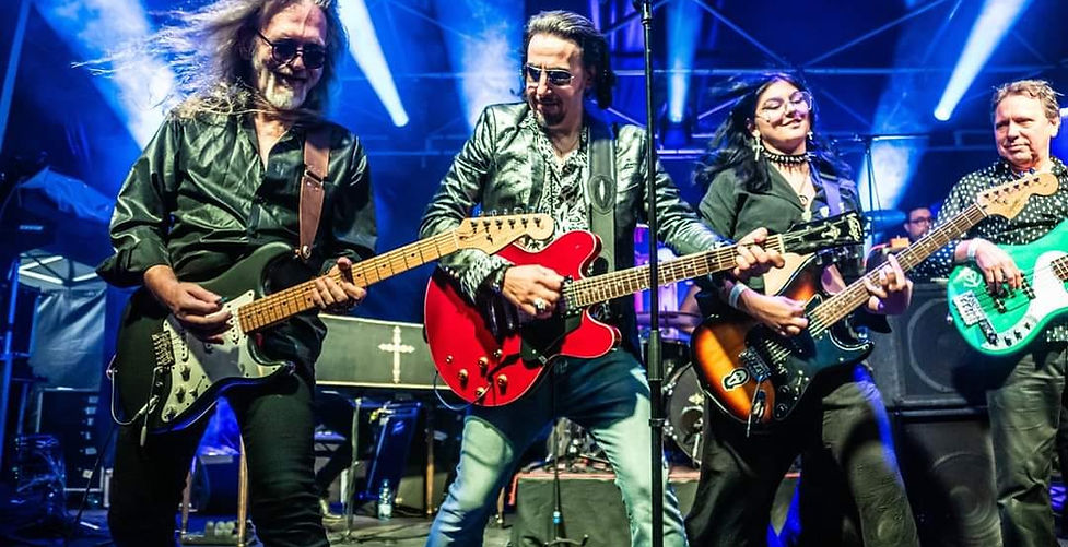 JOHNNY HALLYDAY Rock'N'Roll Show