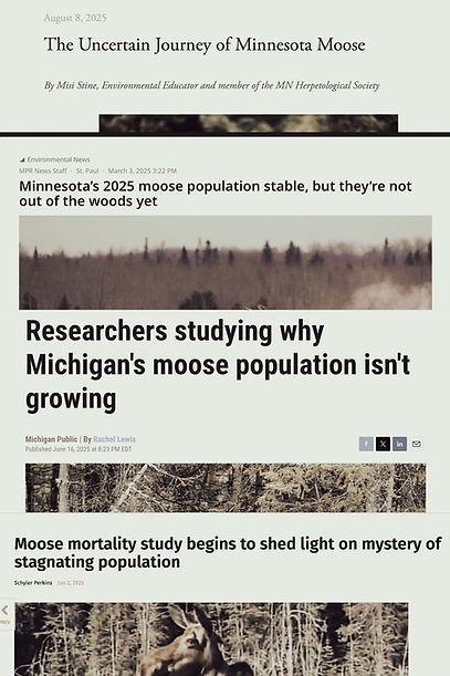 articles.jpg