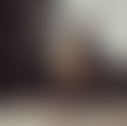 Collared cow elk with bull just behind.