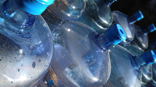 Senior Assassins Roam the School