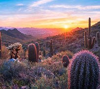 Scottsdale.jpg