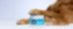 PHW_Banner_3593x1571_Website_ENG_Rev_061125.jpg