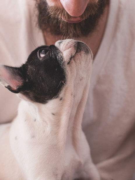 PASSEPORT NUMÉRIQUE : LA CLÉ POUR MIEUX COMPRENDRE VOTRE ANIMAL 