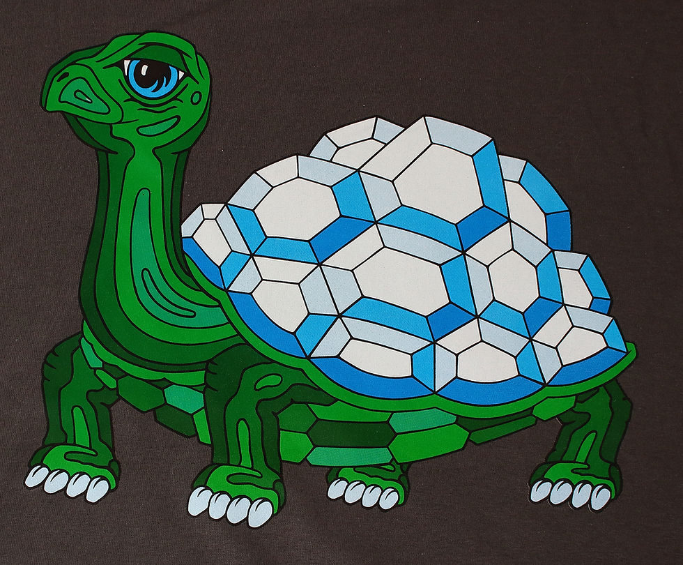 T-SHIRTS