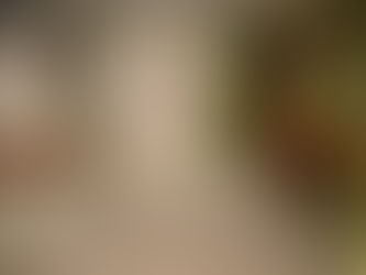 Foch se refait une beauté