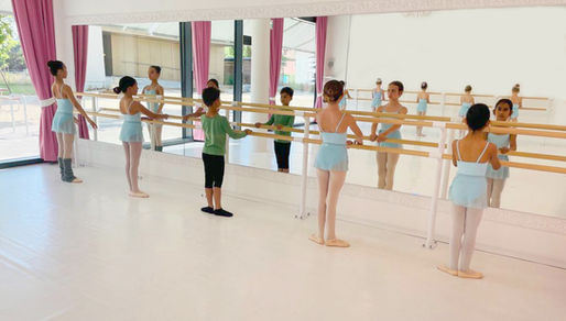 Unveiling the Elegance: The Profound Benefits of Cultural Education Through Ballet