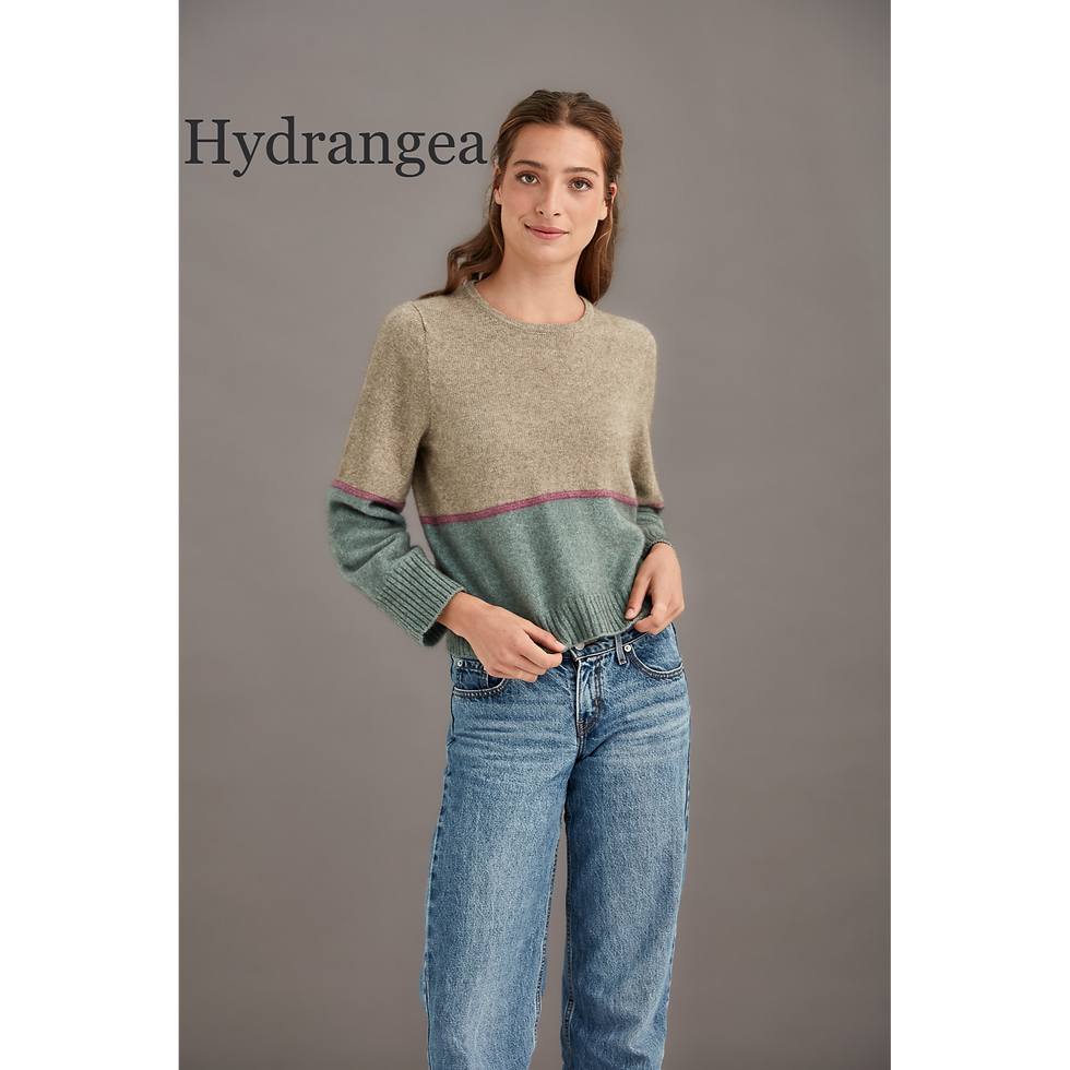 Women's Horizon Jumper
